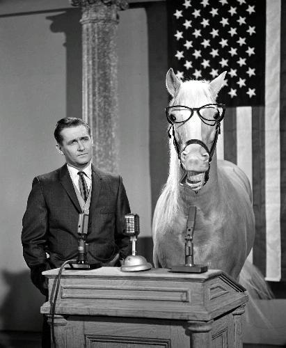 Alan Young and Mister Ed