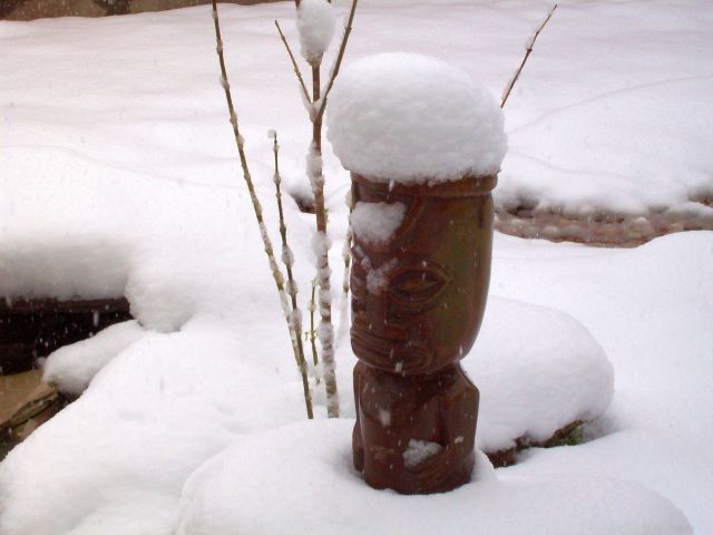 Webmaster's backyard Tiki, 3-28-2009, 3 pm